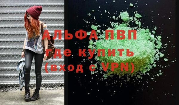 индика Иннополис