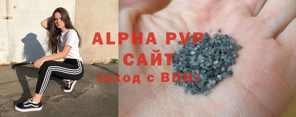 индика Иннополис