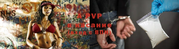 индика Иннополис