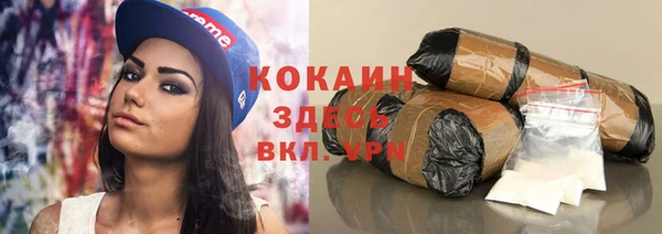 индика Иннополис