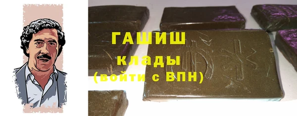 индика Иннополис