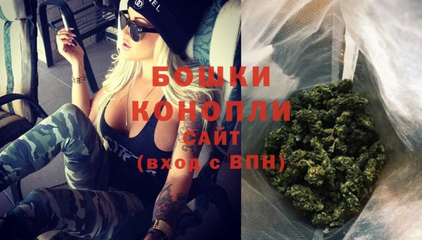 индика Иннополис