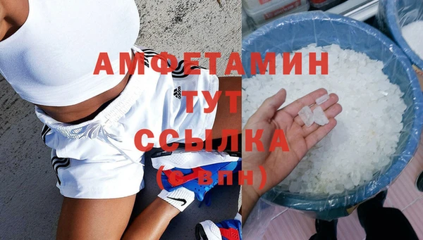 индика Иннополис