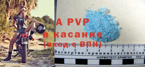 индика Иннополис