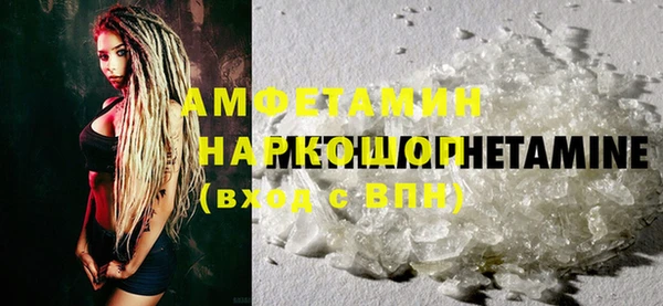 индика Иннополис