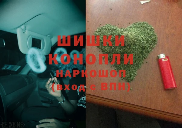 индика Иннополис
