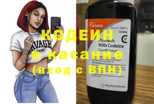 индика Иннополис