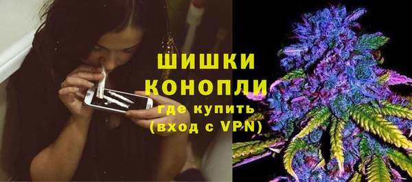 индика Иннополис