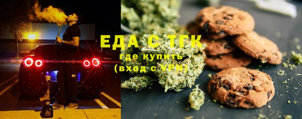индика Иннополис